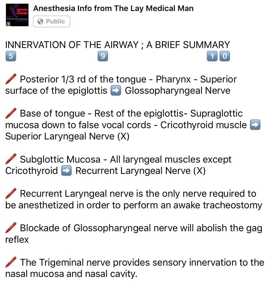 17424819_1290023894366762_819631840420383430_n