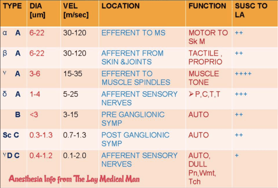 Screen Shot 2018-09-02 at 4.46.12 PM