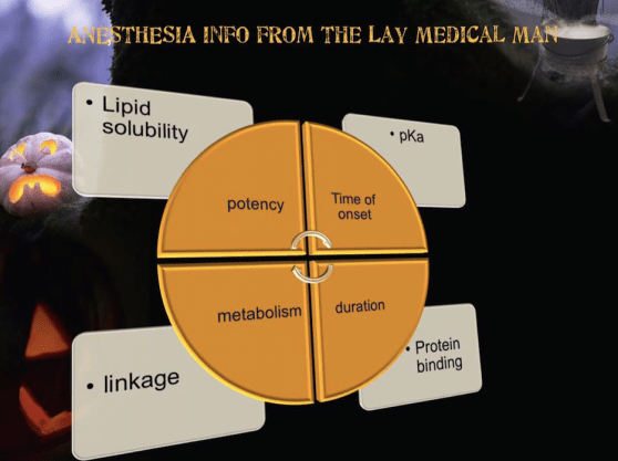 Screen Shot 2018-09-02 at 4.58.54 PM