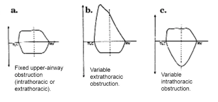 Screen Shot 2018-09-19 at 1.34.27 AM