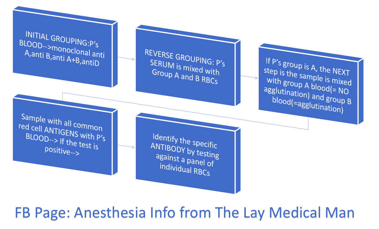 Screen Shot 2019-08-11 at 11.48.54 am