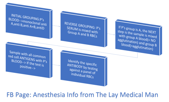 Screen Shot 2019-08-11 at 11.48.54 am