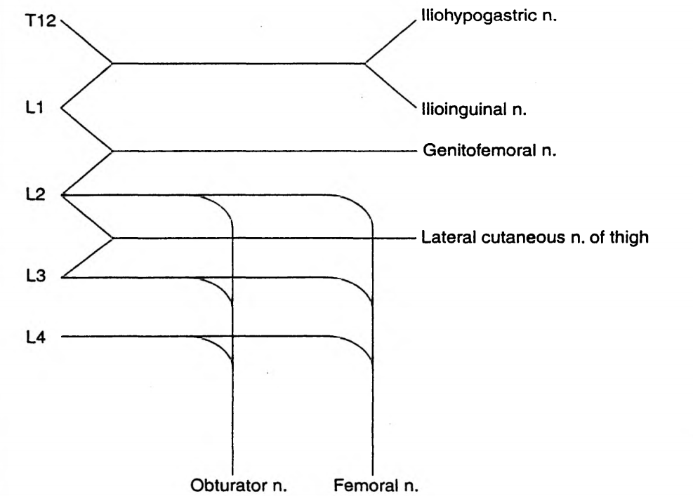 Screen Shot 2019-03-18 at 11.01.44 AM