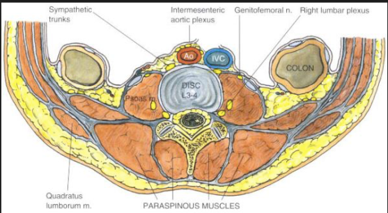 Screen Shot 2019-03-18 at 3.15.22 PM