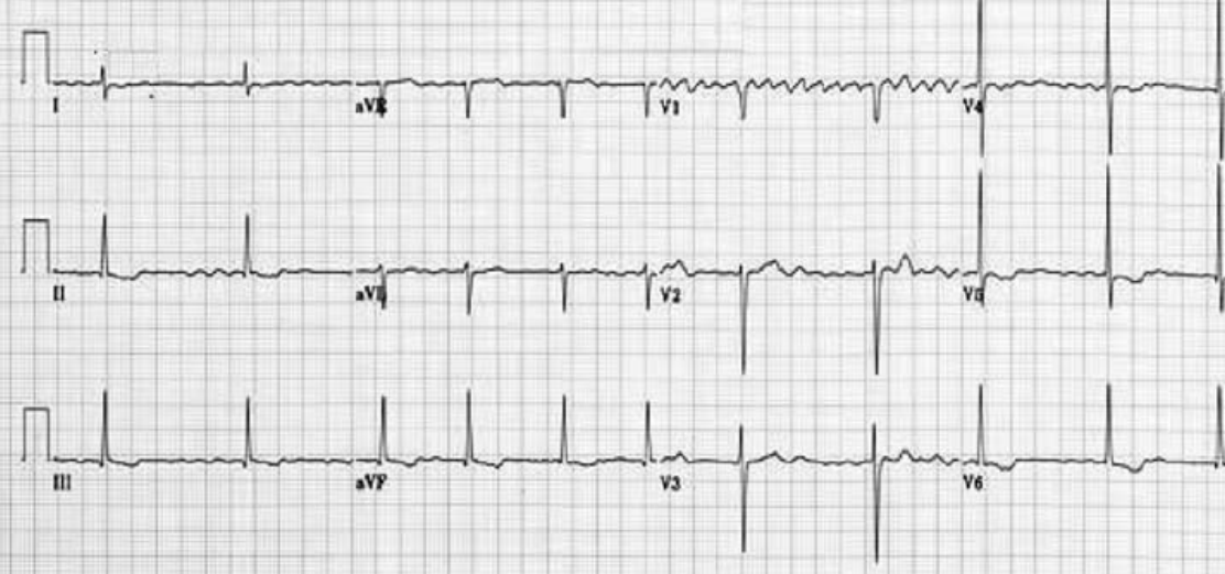 Screen Shot 2019-04-18 at 9.23.35 PM