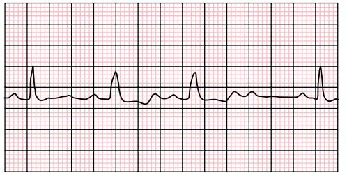 Screen Shot 2019-04-23 at 8.38.46 PM