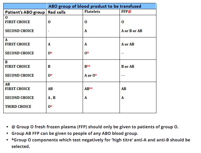 Screen Shot 2019-08-11 at 12.00.04 am