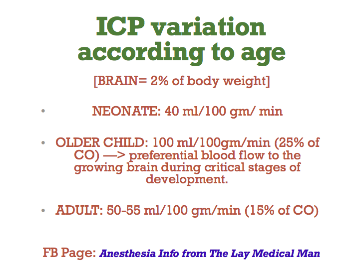 Screen Shot 2019-08-24 at 12.17.29 pm