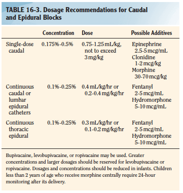 Screen Shot 2019-08-25 at 11.48.27 am