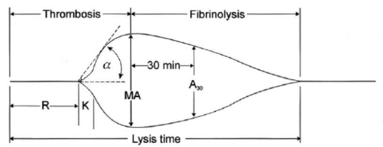 Screen Shot 2019-09-04 at 3.20.39 pm