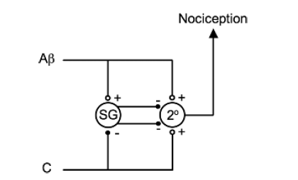 Screen Shot 2019-09-06 at 1.02.03 pm