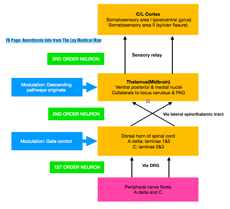 Screen Shot 2019-09-06 at 1.42.15 pm