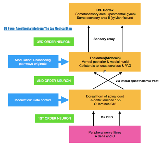 Screen Shot 2019-09-06 at 1.42.15 pm