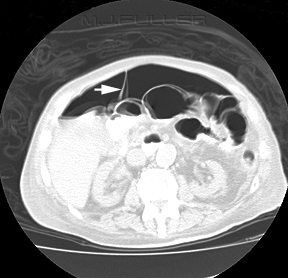 Screen Shot 2019-09-08 at 10.33.45 pm