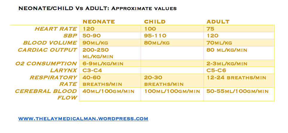 Screen Shot 2020-02-18 at 7.55.17 am